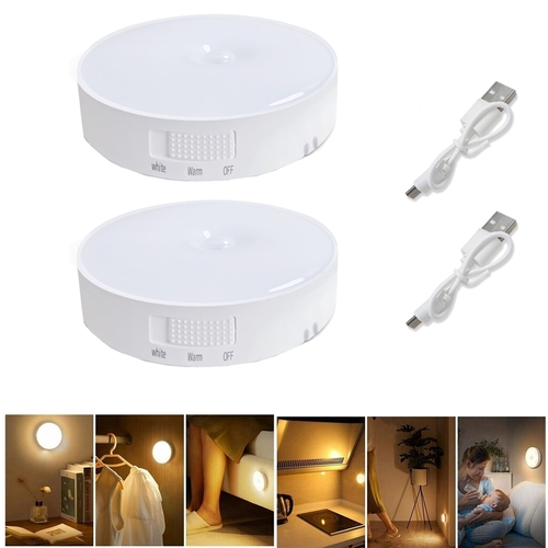 Two in One Dual Color LED Induction Light Closet Lights Motion Sensor Cabinet Light Cool White and Warm White